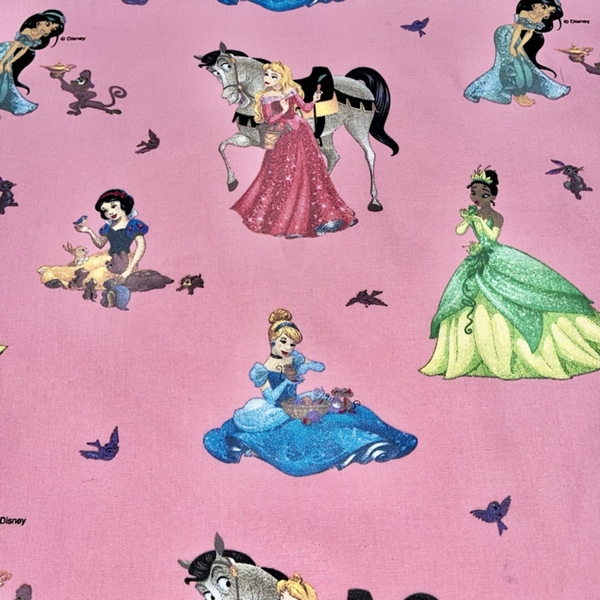 LES PRINCESSES DISNEY