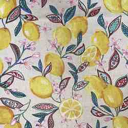 TISSU COTON CITRONNIER FOND BLANC