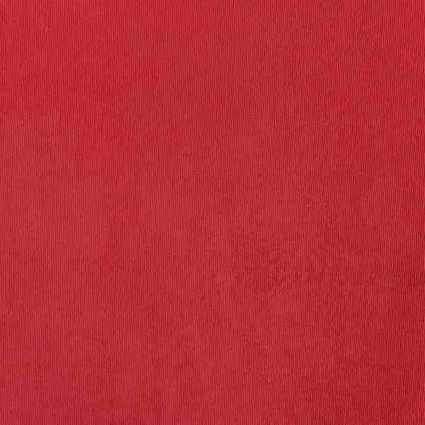 TISSU VELOURS FINES COTES ROUGE
