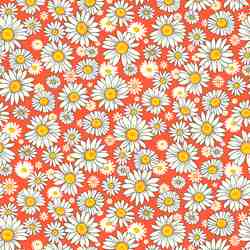 TISSU COTON FLEUR PAQUERETTE ORANGE