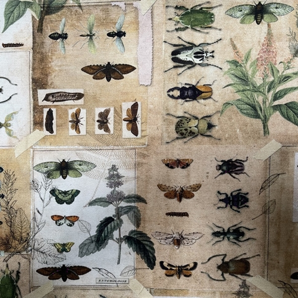 TISSU TOILE COTON CANVAS INSECTES
