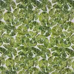 TISSU COTON MFTA WATERLILY VERT LIME