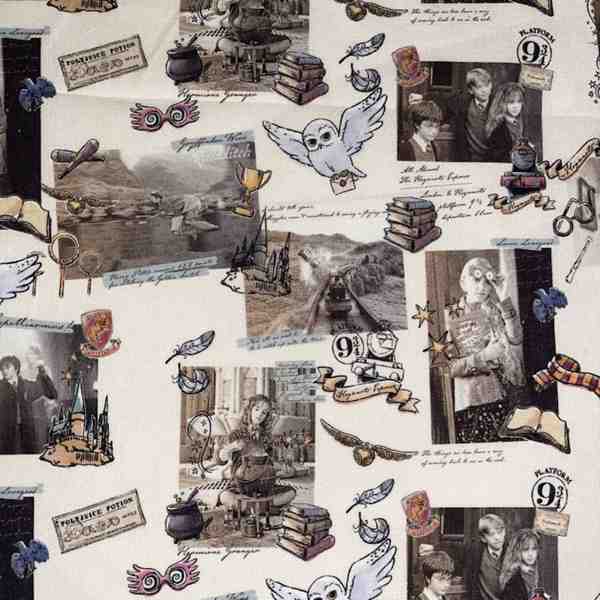 HARRY POTTER MAGICAL SOUVENIRS DE POUDLARD