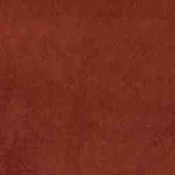 TISSU VELOURS FINES COTES MARRON