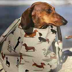 TISSU ASPECT LIN MOTIF CHIENS TECKELS