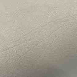 TISSU SCALA VELOURS IVOIRE