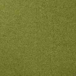 TISSU POLAIRE CHINE VERT MOUSSE