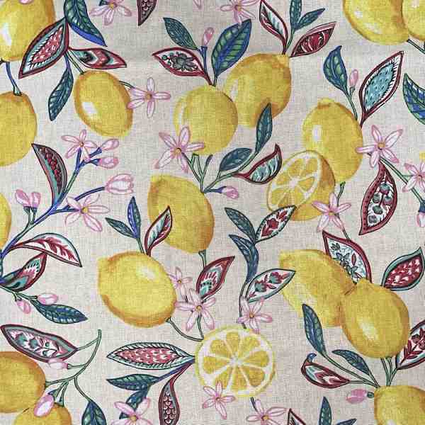 TISSU COTON CITRONNIER FOND BLANC