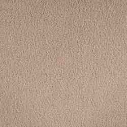TISSU TEDDY POLAIRE SABLE BEIGE