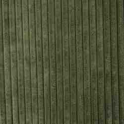 TISSU MINKY VELOURS COTELE ENVERS TOUT DOUX VERT 