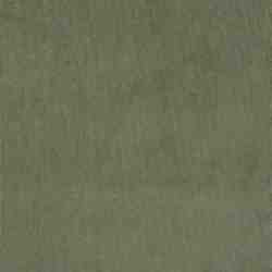 TISSU VELOURS FINES COTES KAKI