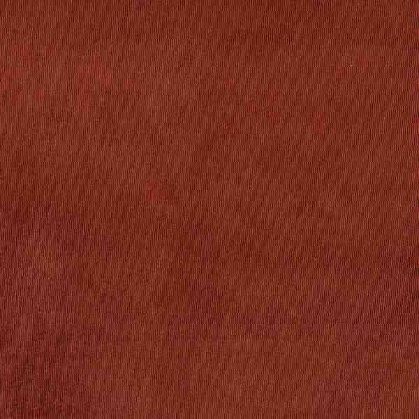 TISSU VELOURS FINES COTES MARRON