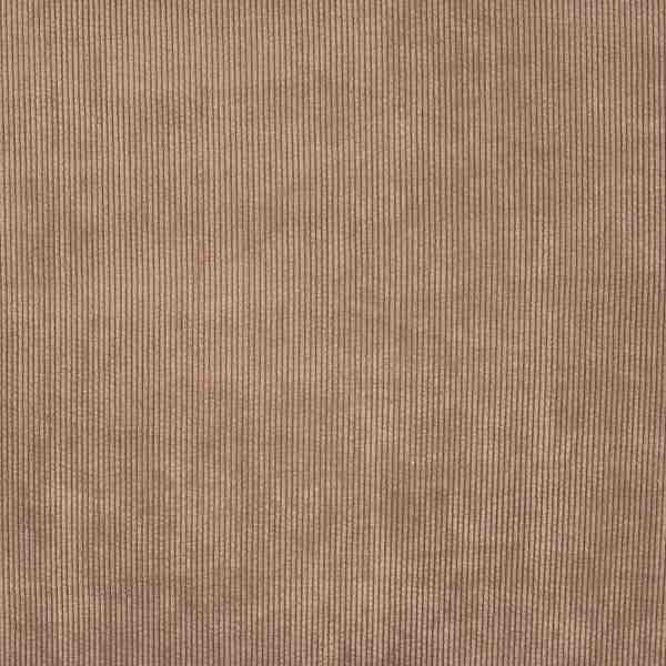 TISSU VELOURS COTELE TAUPE