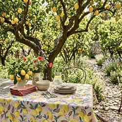 TISSU COTON CITRONNIER FOND BLANC