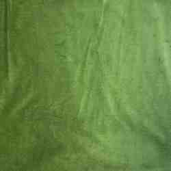 TISSU SCALA VELOURS VERT MOUSSE