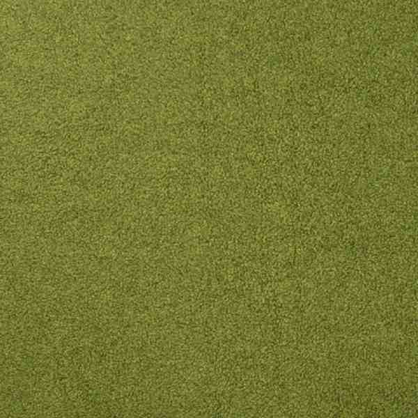 TISSU POLAIRE CHINE VERT MOUSSE