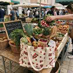 TISSU TOILE ASPECT LIN TOMATES CERISES