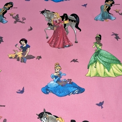 LES PRINCESSES DISNEY