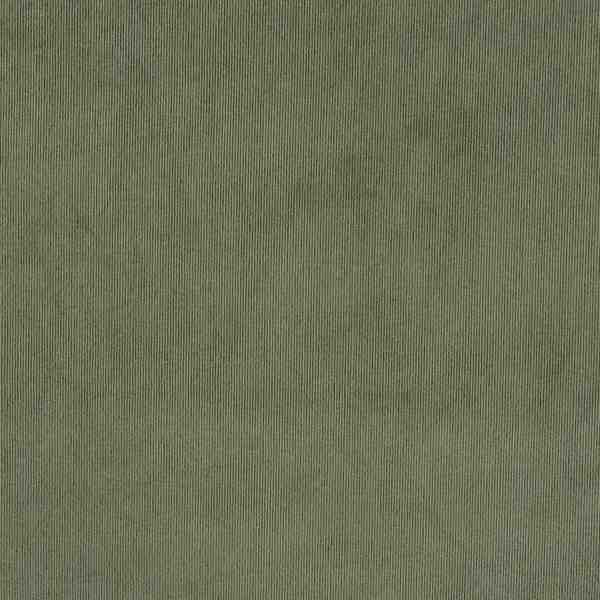 TISSU VELOURS FINES COTES KAKI