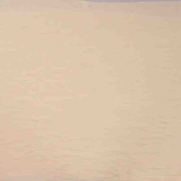 TISSU VISCOSE UNIE CHAMPAGNE