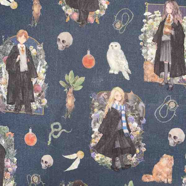 TISSU COTON HARRY POTTER A L ECOLE DE SORCELLERIE